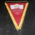Printed pennant in use in the season 2015-2016