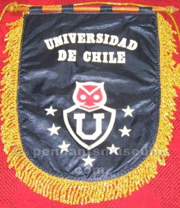 UNIVERSIDAD DE CHILE