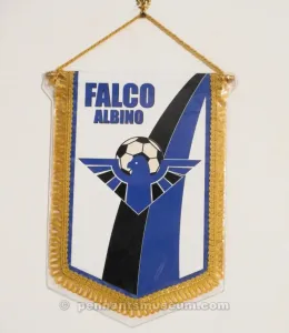 FALCO ALBINO