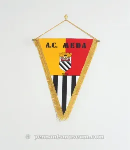 MEDA