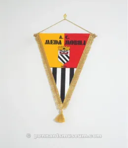 MEDA