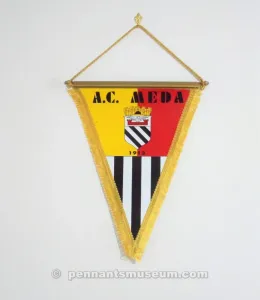 MEDA