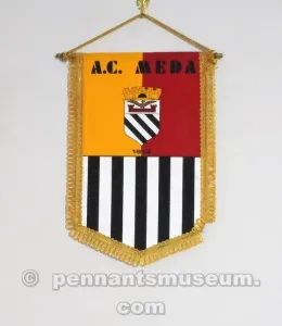 MEDA