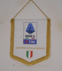 FEDERAZIONE ITALIANA GIUOCO CALCIO