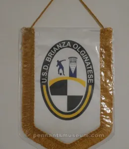 BRIANZA OLGINATESE