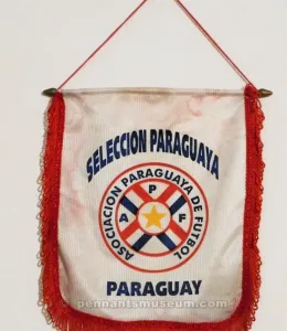 FEDERAZIONE CALCISTICA DEL PARAGUAY