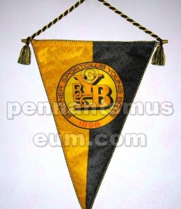 YOUNG BOYS BSC