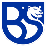 UNION BRESCIA