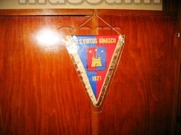 VIRTUS BINASCO