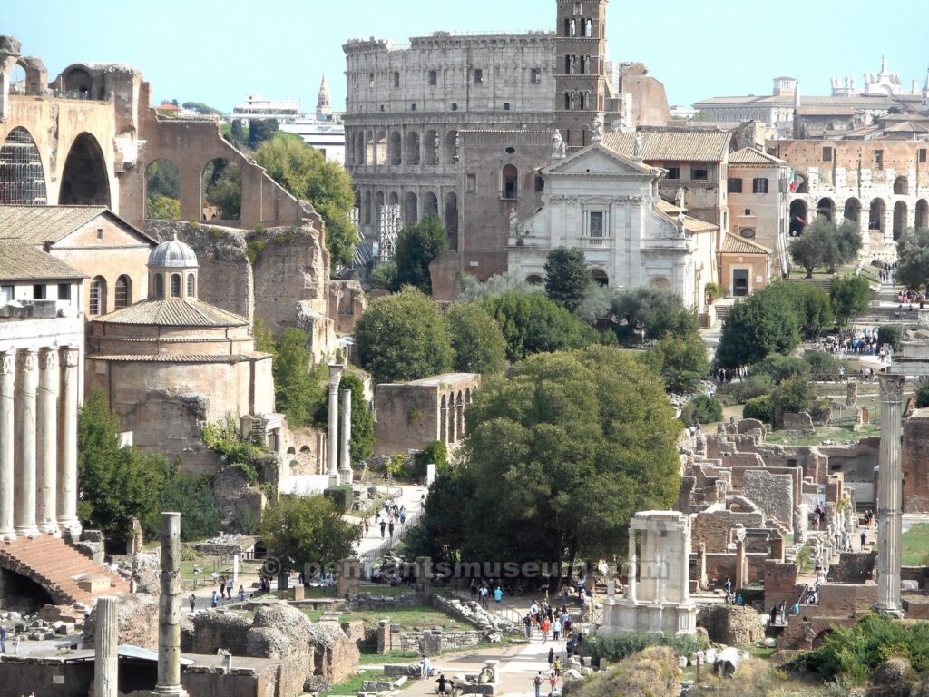 fori imperiali