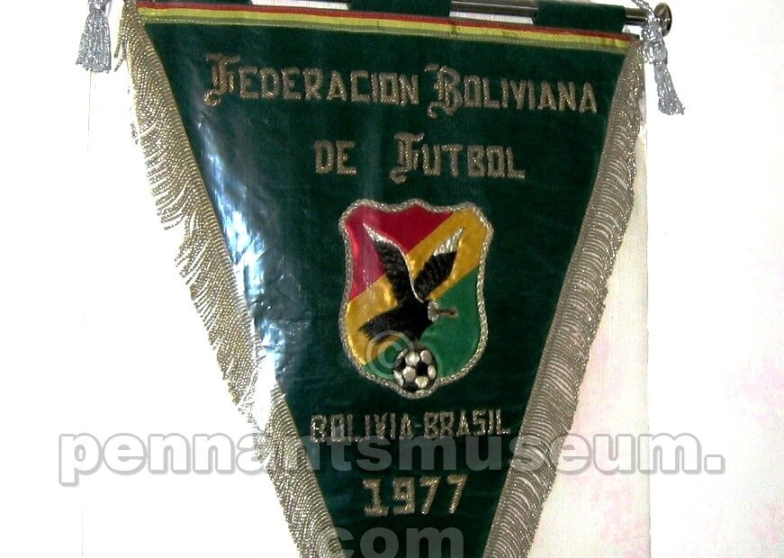 bolivianafederaciondefutbol
